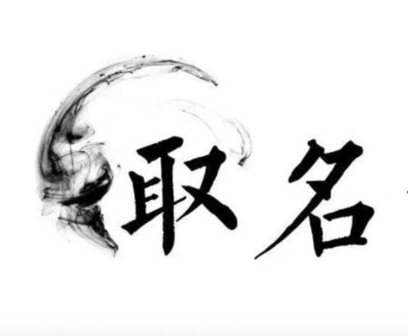 宝应宝宝取名 大师一对一人工起名